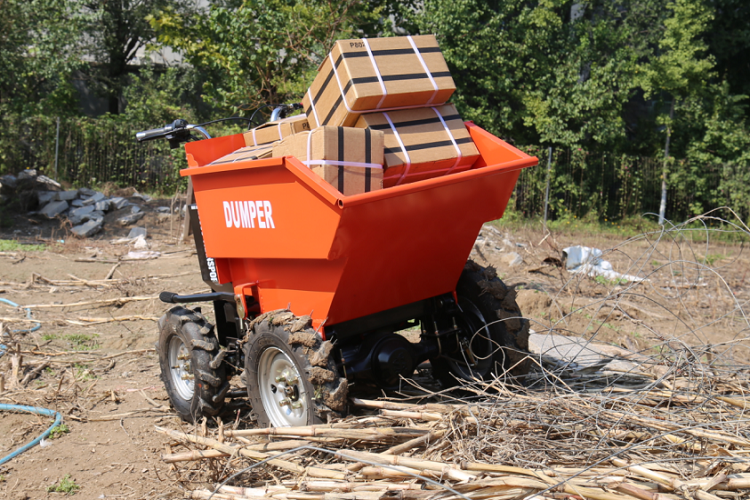 EV300Dumper